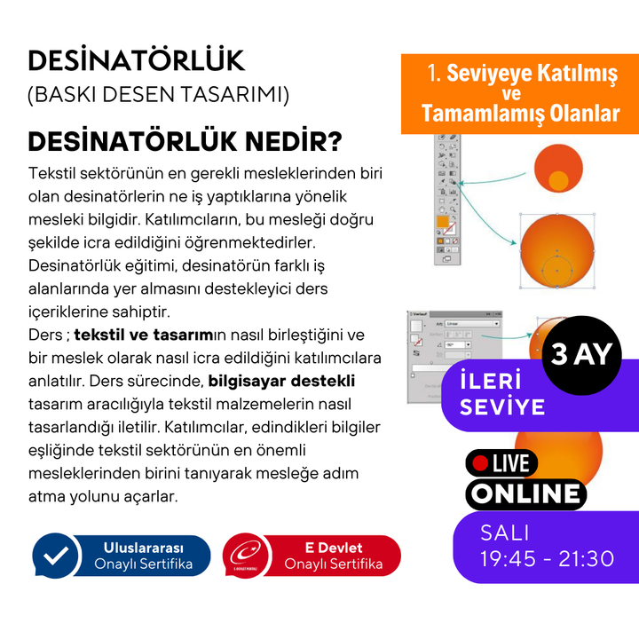 Adobe Illustrator Design (Druckmusterdesign) (Fortgeschrittenenniveau)