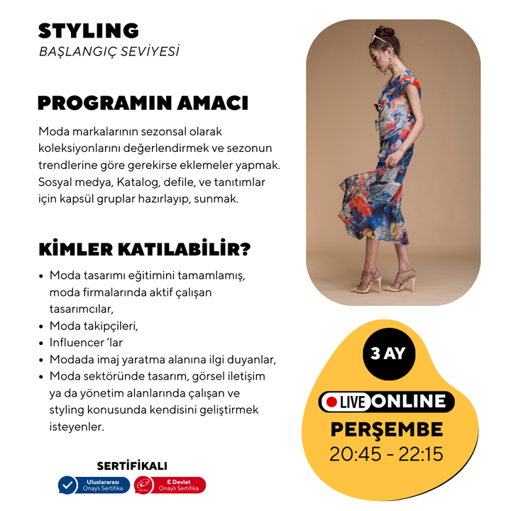 Styling - Beginner level