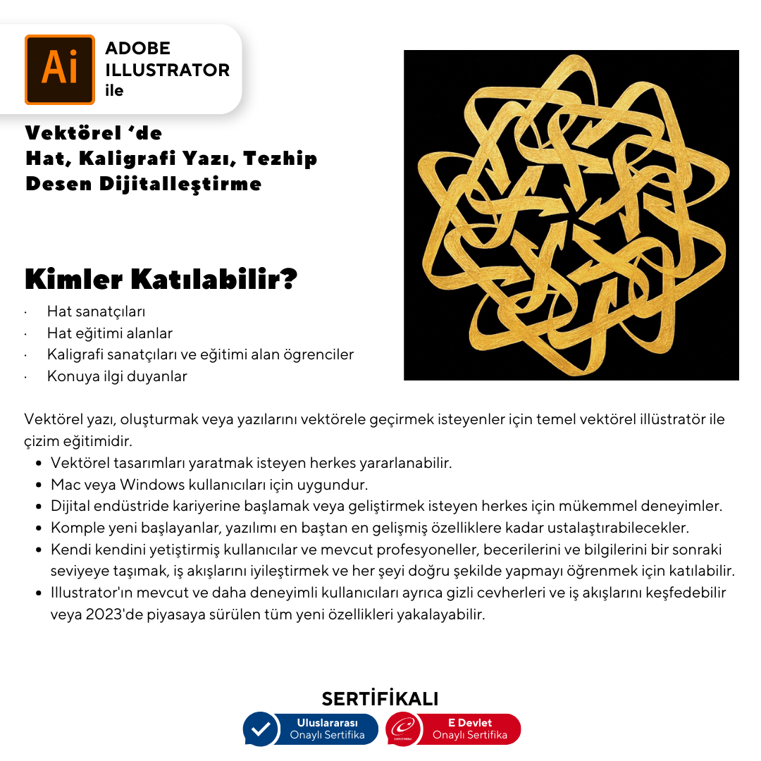 Vector: Calligraphy, Writing, Illumination, Pattern Digitization