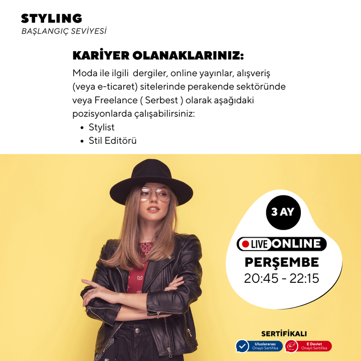 Styling - Beginner level