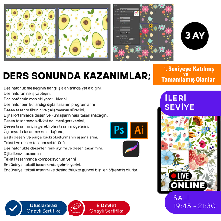 Adobe Illustrator Design (Druckmusterdesign) (Fortgeschrittenenniveau)