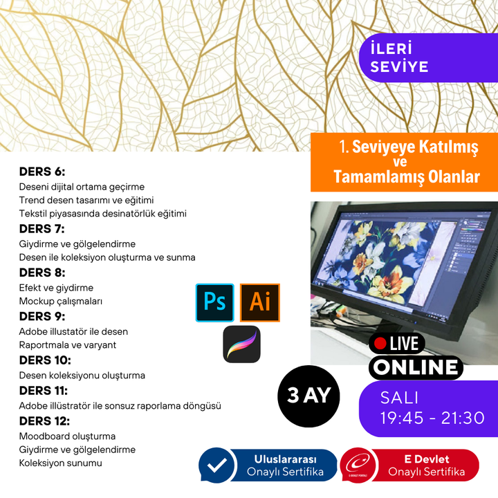 Adobe Illustrator Design (Druckmusterdesign) (Fortgeschrittenenniveau)