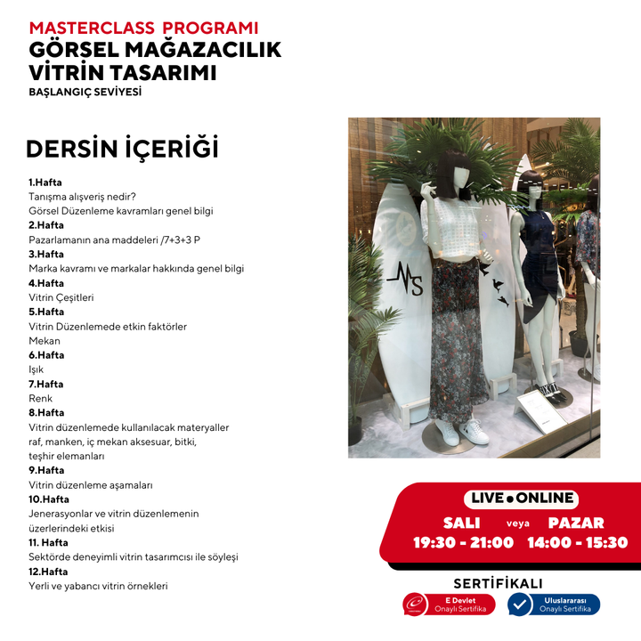 Visual Merchandising and Window Design (Masterclass Training Program)